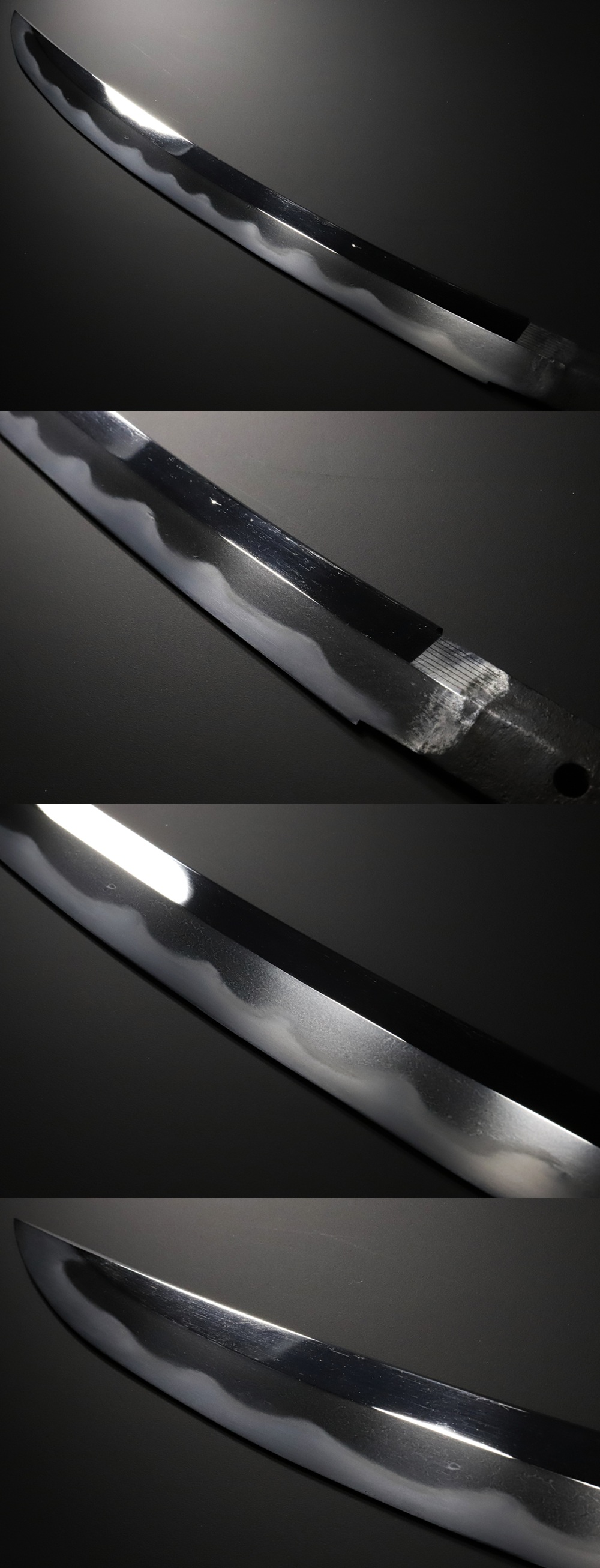 DS-0010