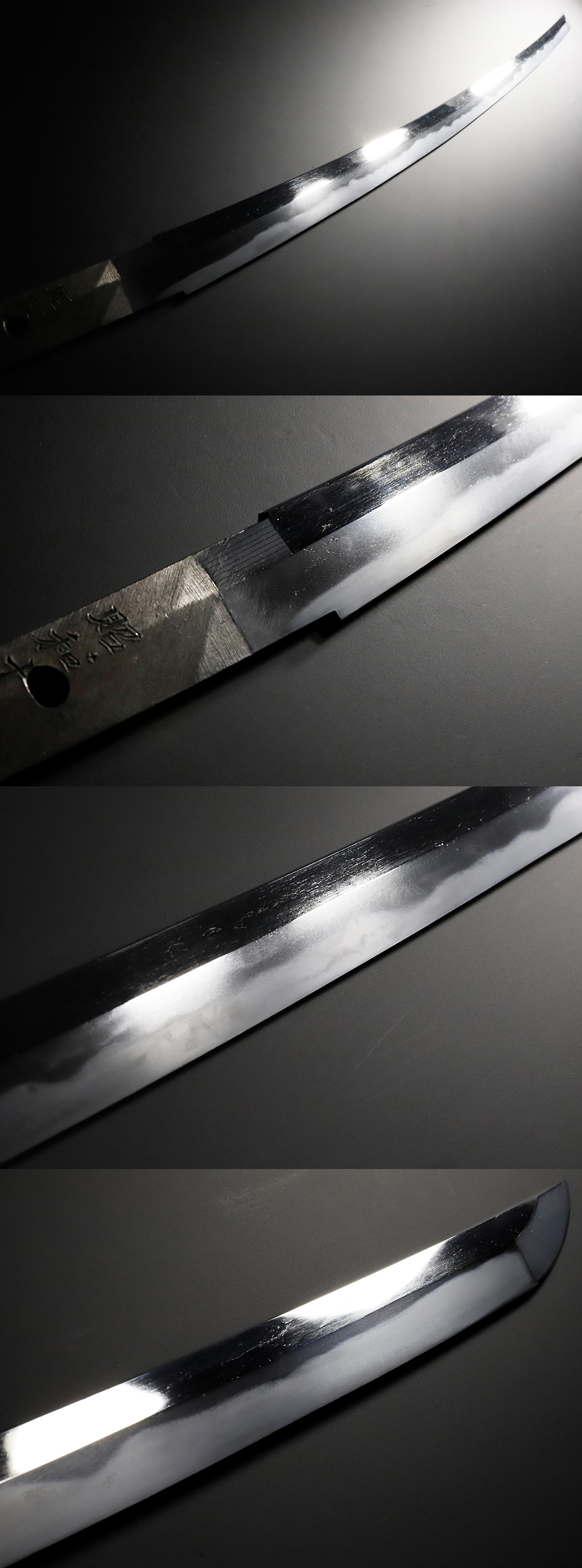 DS-0012