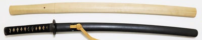 WA-0811