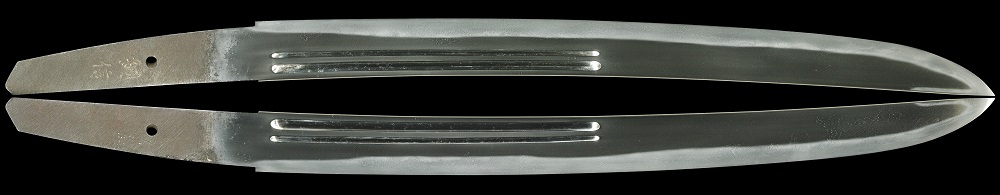 WA-0820